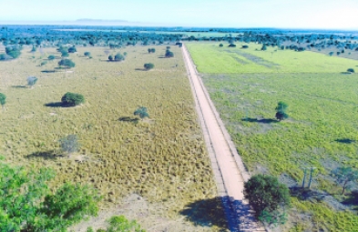 Fazenda para venda em Corinto